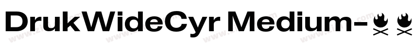 DrukWideCyr Medium字体转换